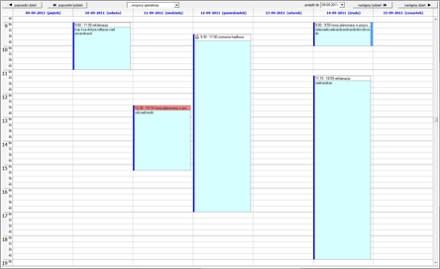 Manager Projektów - Kalendarz